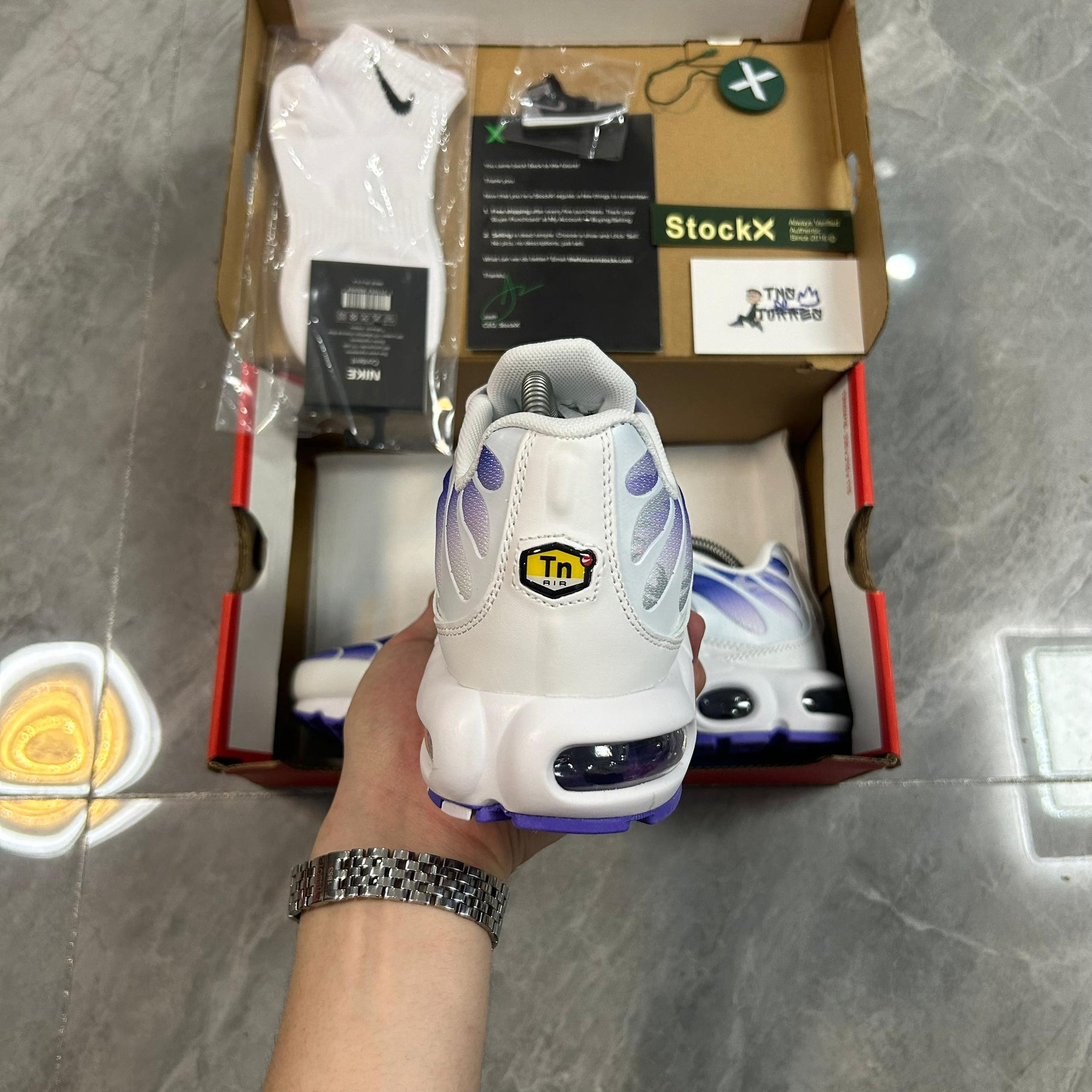 Air Max TN Plus "Purple Dragon"