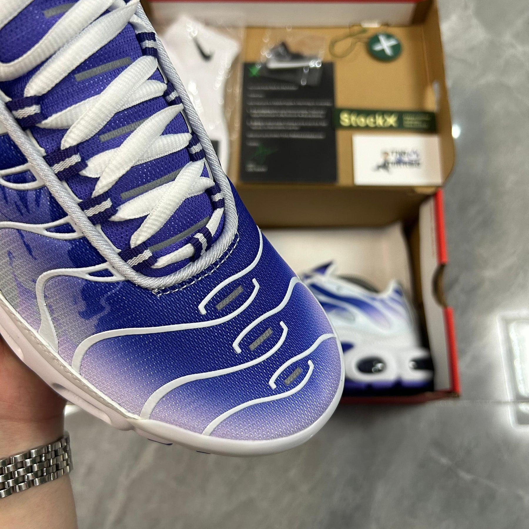 Air Max TN Plus "Purple Dragon"