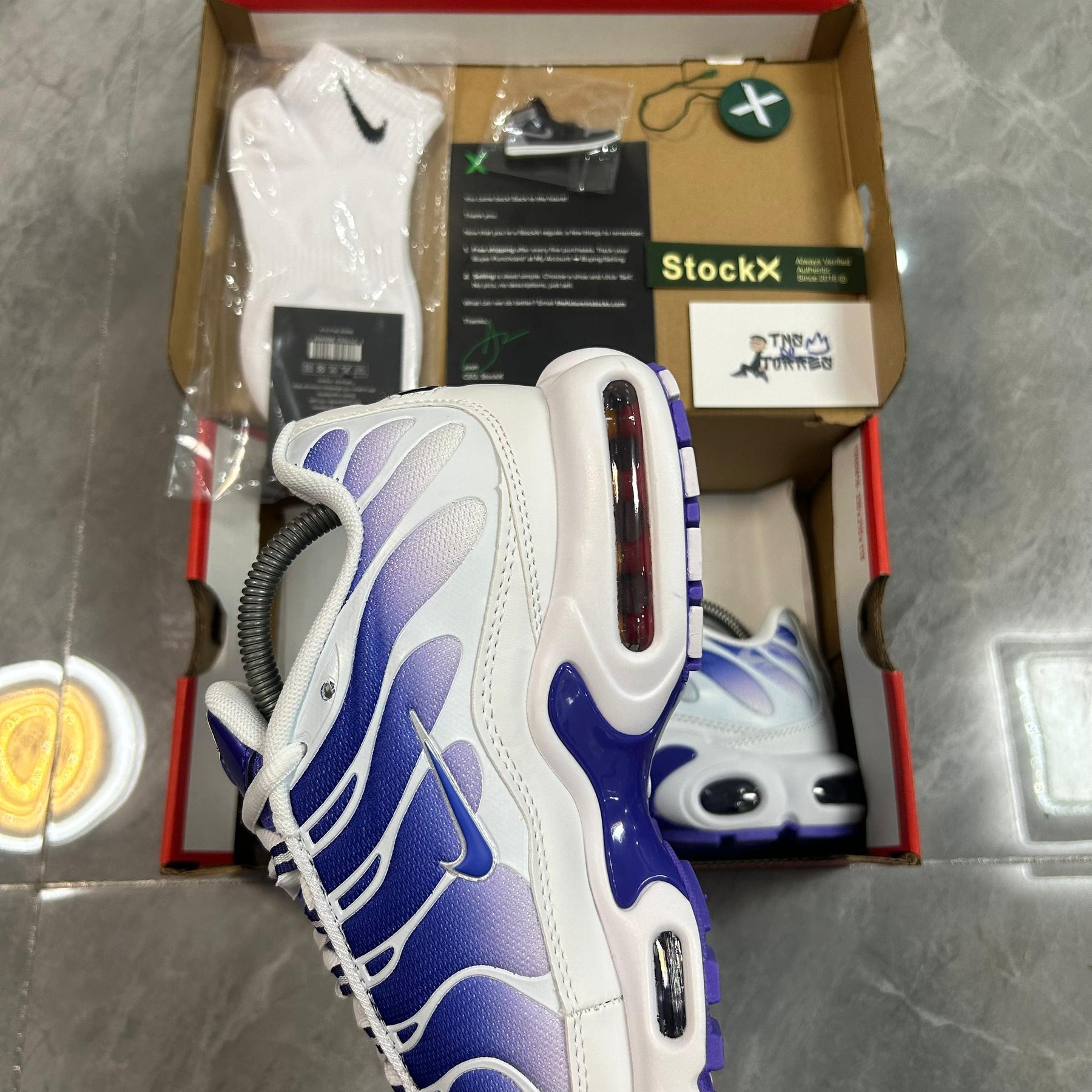 Air Max TN Plus "Purple Dragon"